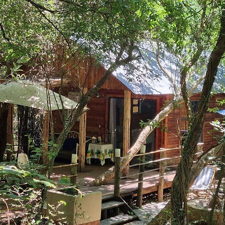 Iris Retreat & Island Day Spa Hartbeespoort Eksteriør bilde